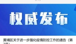 广州新干肺炎最新爆料,追踪病毒变异与防控措施强化